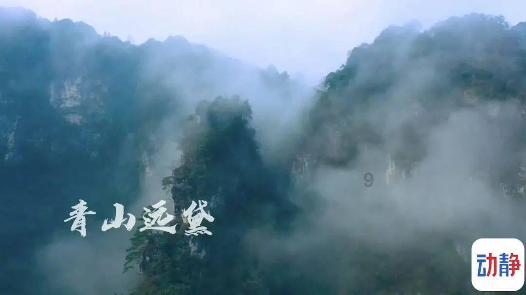 孔雀逃生